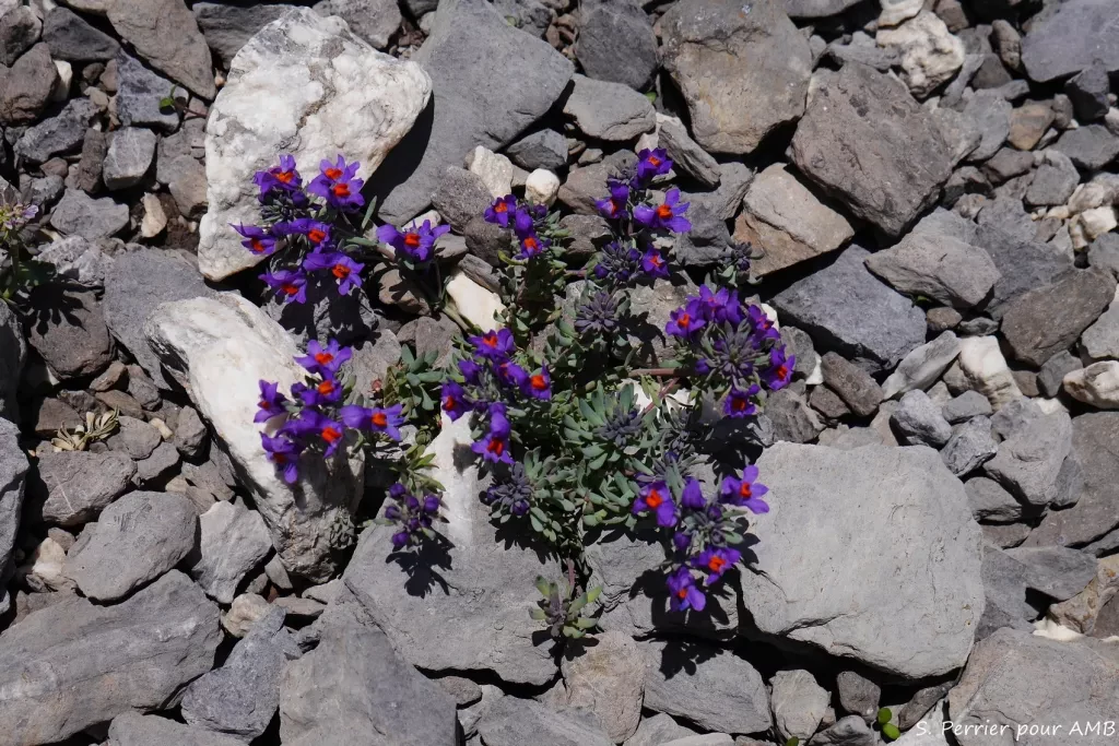 media-library85pj98t3fs3tbOrPuQz