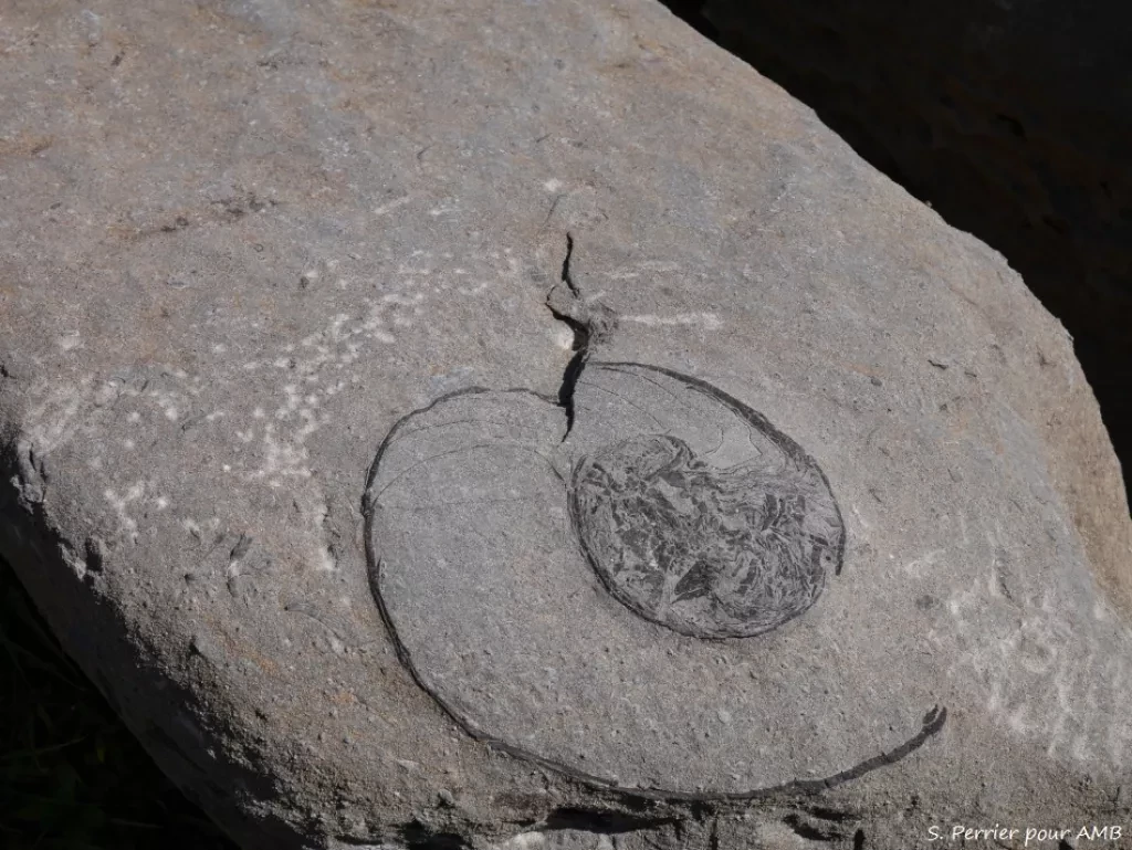 media-librarycvqaui7qkrr92Ve6HhB