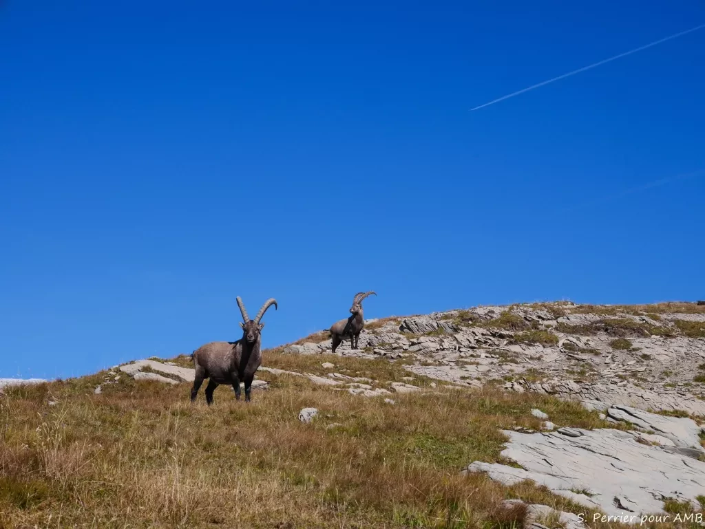 media-librarydio5kkg9tcn2ftloqmB