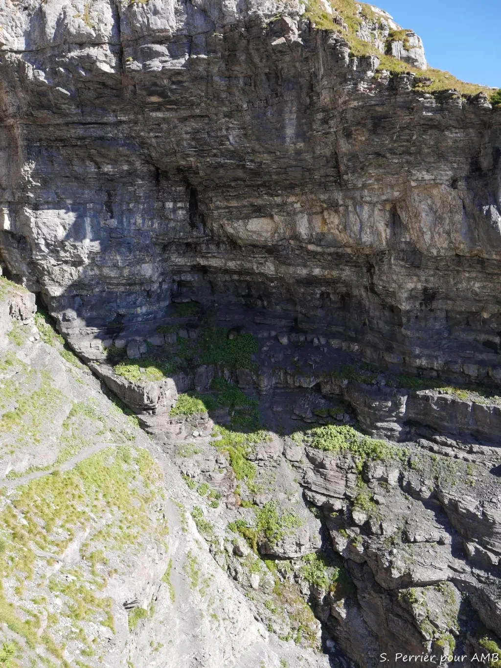 media-libraryfdr93aolj6be6XHYLFC