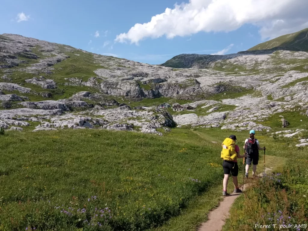 media-librarymo11p4b609833ZdQBQA