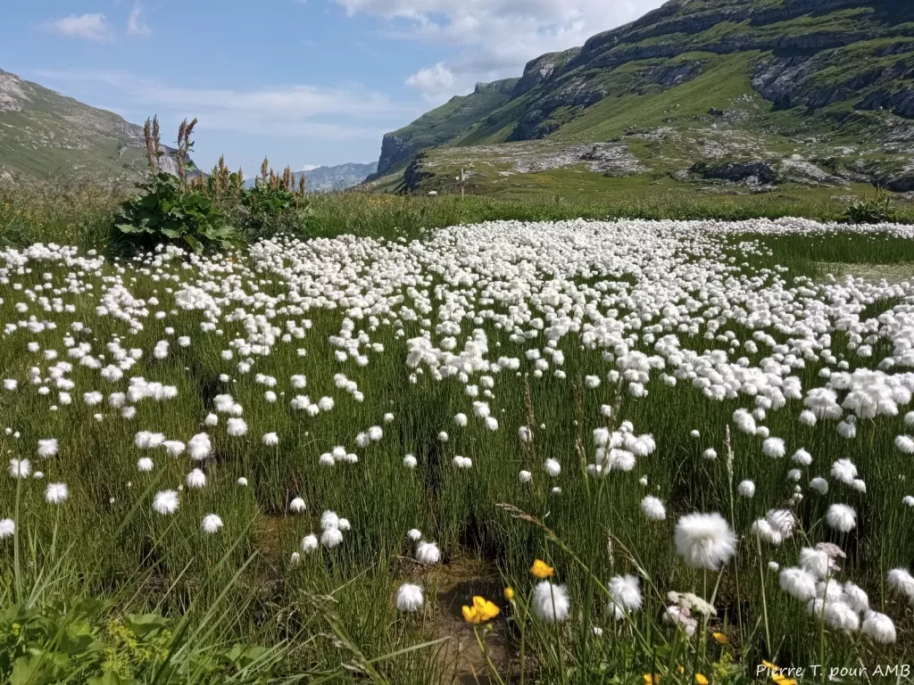 media-libraryo2lh44ev2jsd8QjEHOB