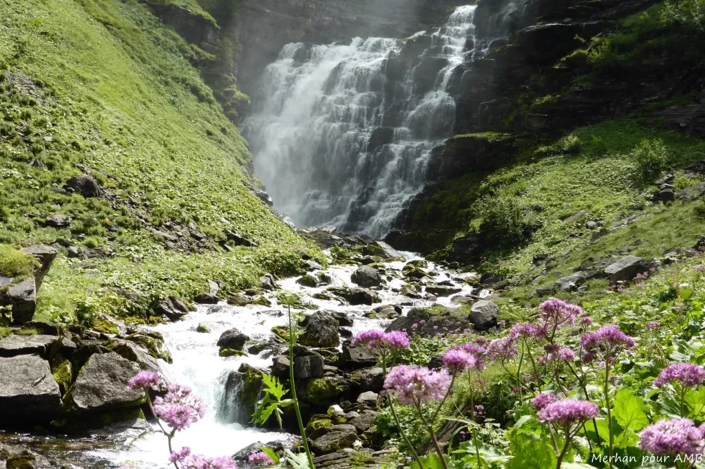 media-library6odhcrjd98vq4bc1asC