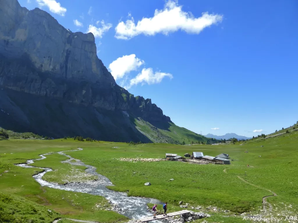 media-library5jvuvqqu7bai1BjNJrA