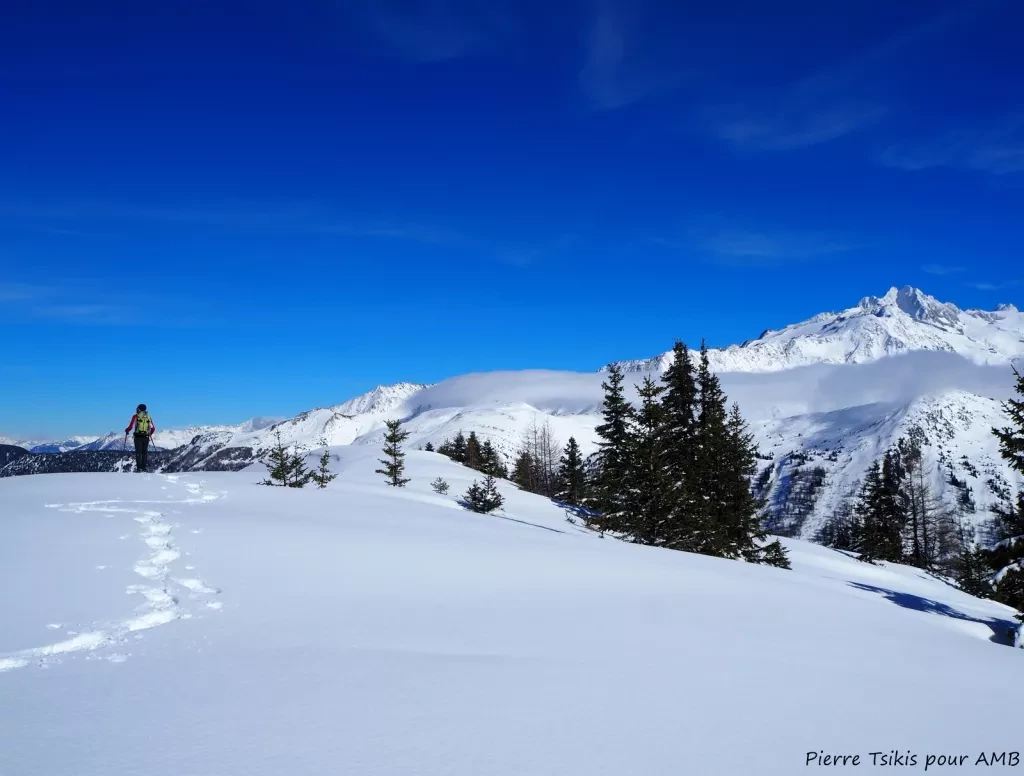 media-librarym8dkmh0rvsru8EnrdEC