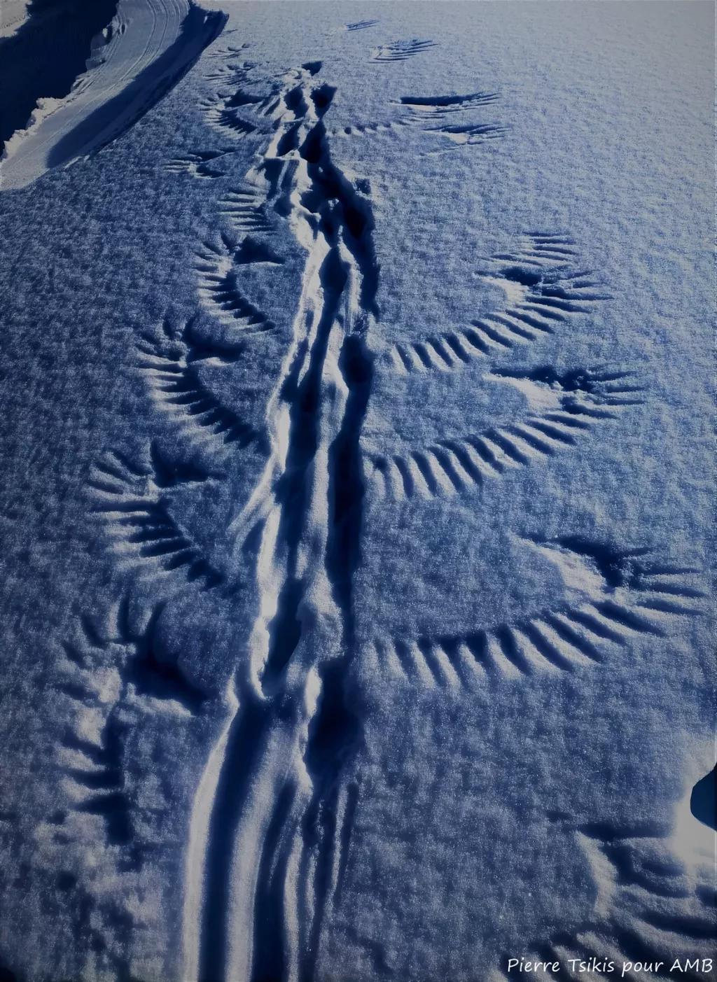 media-library3tk0je4u9oi47Fdt8xy