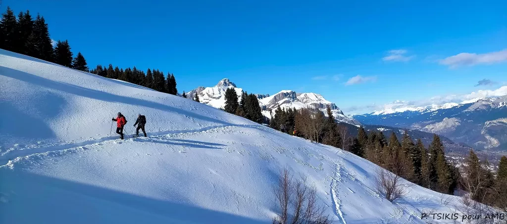 media-librarydonv3m7dpro049JLalC