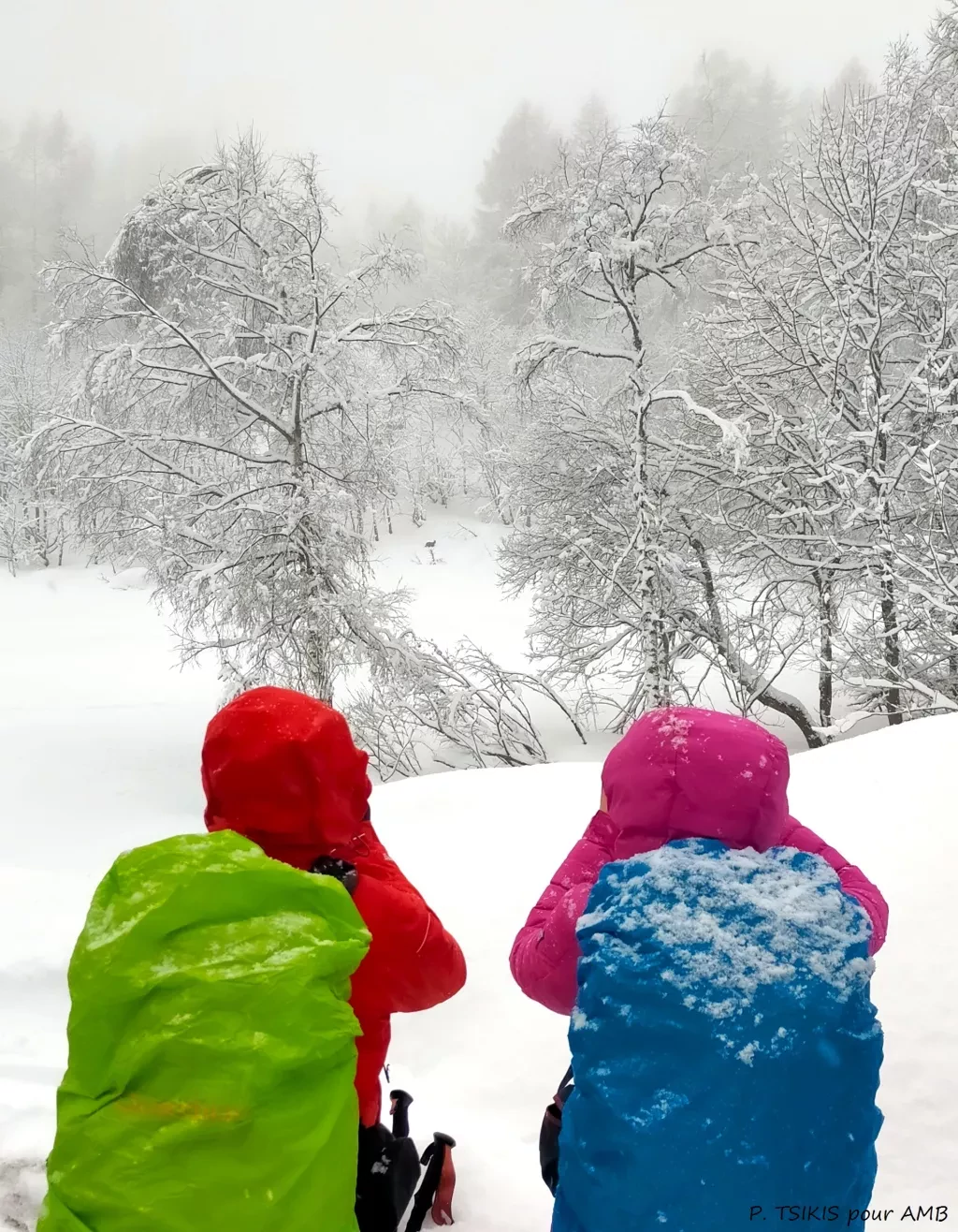 media-libraryo4qm631ah7paeOGsXNB