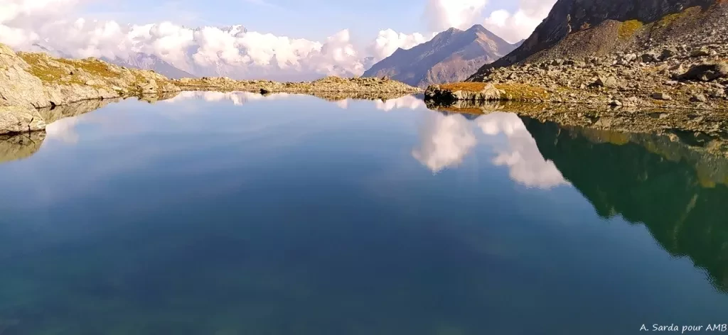 media-library5b0vttpmab7q1B2P54y