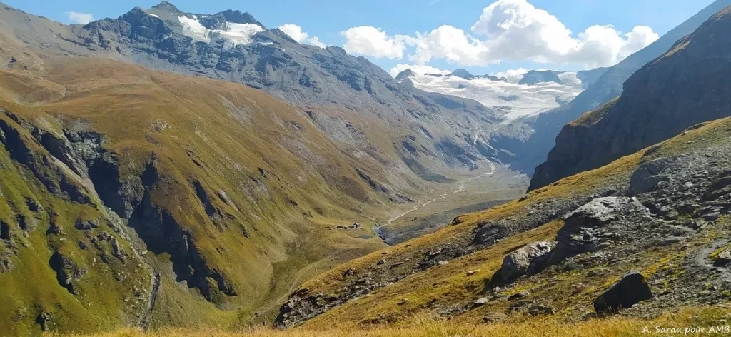 media-libraryatohfcoen8v2cz2a9IC