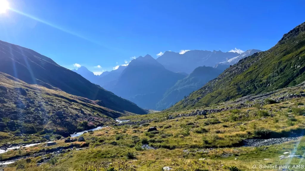 media-libraryijvkgje00dp14qeJ3zz