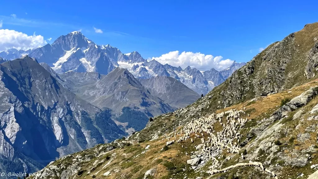 media-library51k7dqm6pvsu7WPnJLz