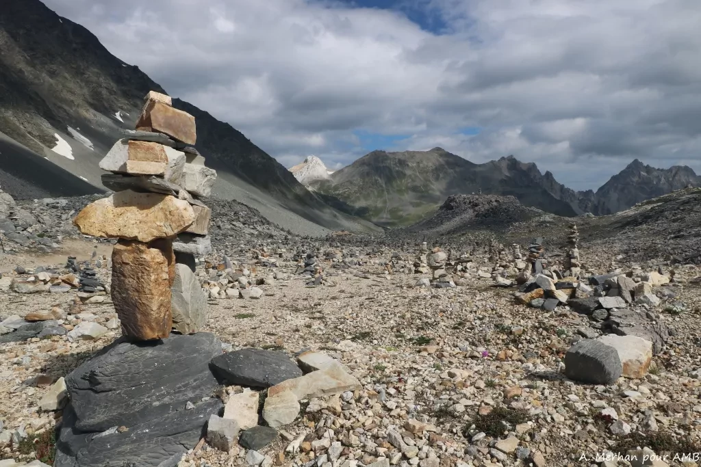 media-libraryd96vtcc3cf6m0MlxpNy