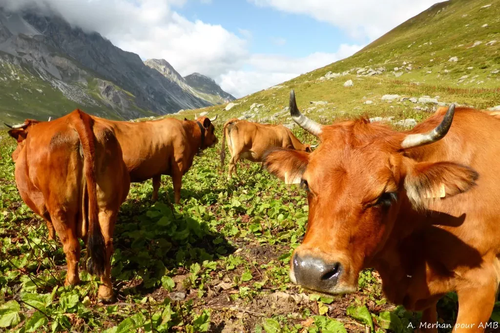 media-library695uouesf85b1hnyy8B