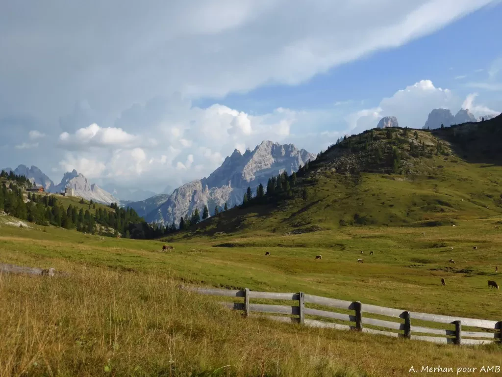 media-librarysjrqj94hj23i2Afa2Iy