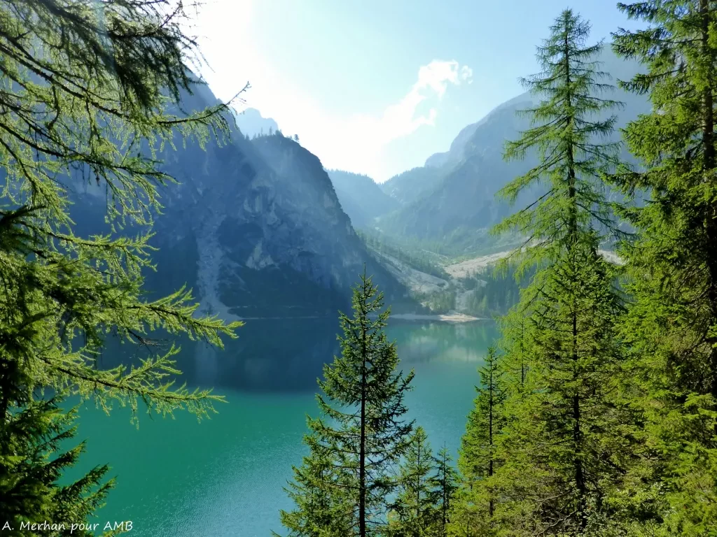 media-library7p8k3thbp7lu5xsMrcA