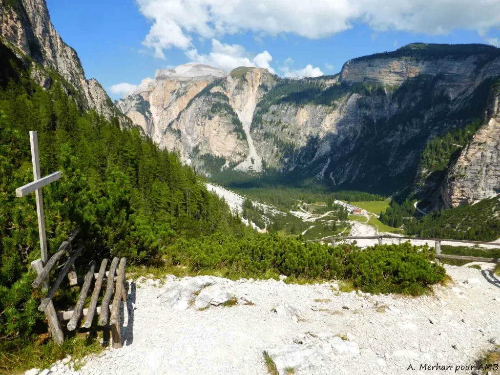 media-libraryijoqv691iv9j4kKbpCC