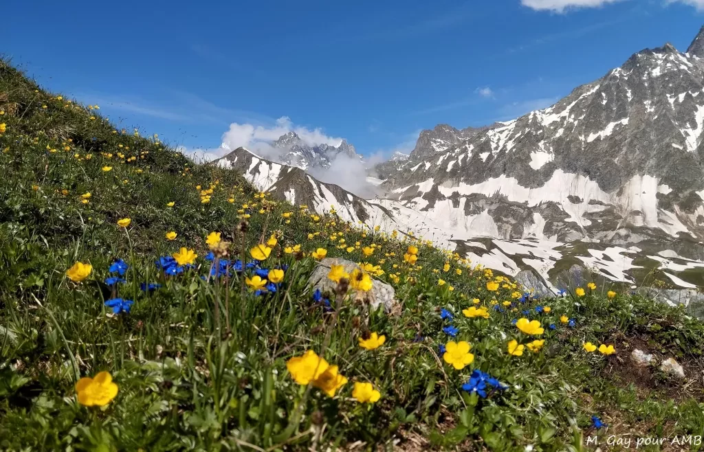 media-libraryuu87893sjjnn6PsmQYz