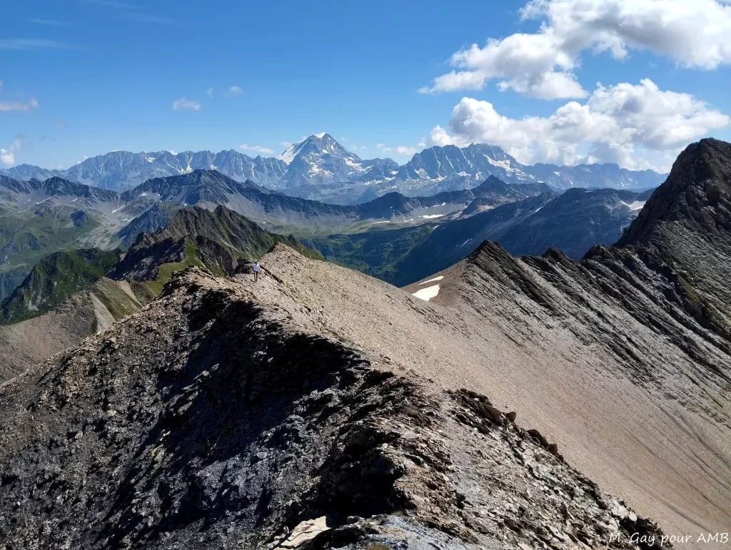 media-library6mdhvjmkcfas7f3JovA