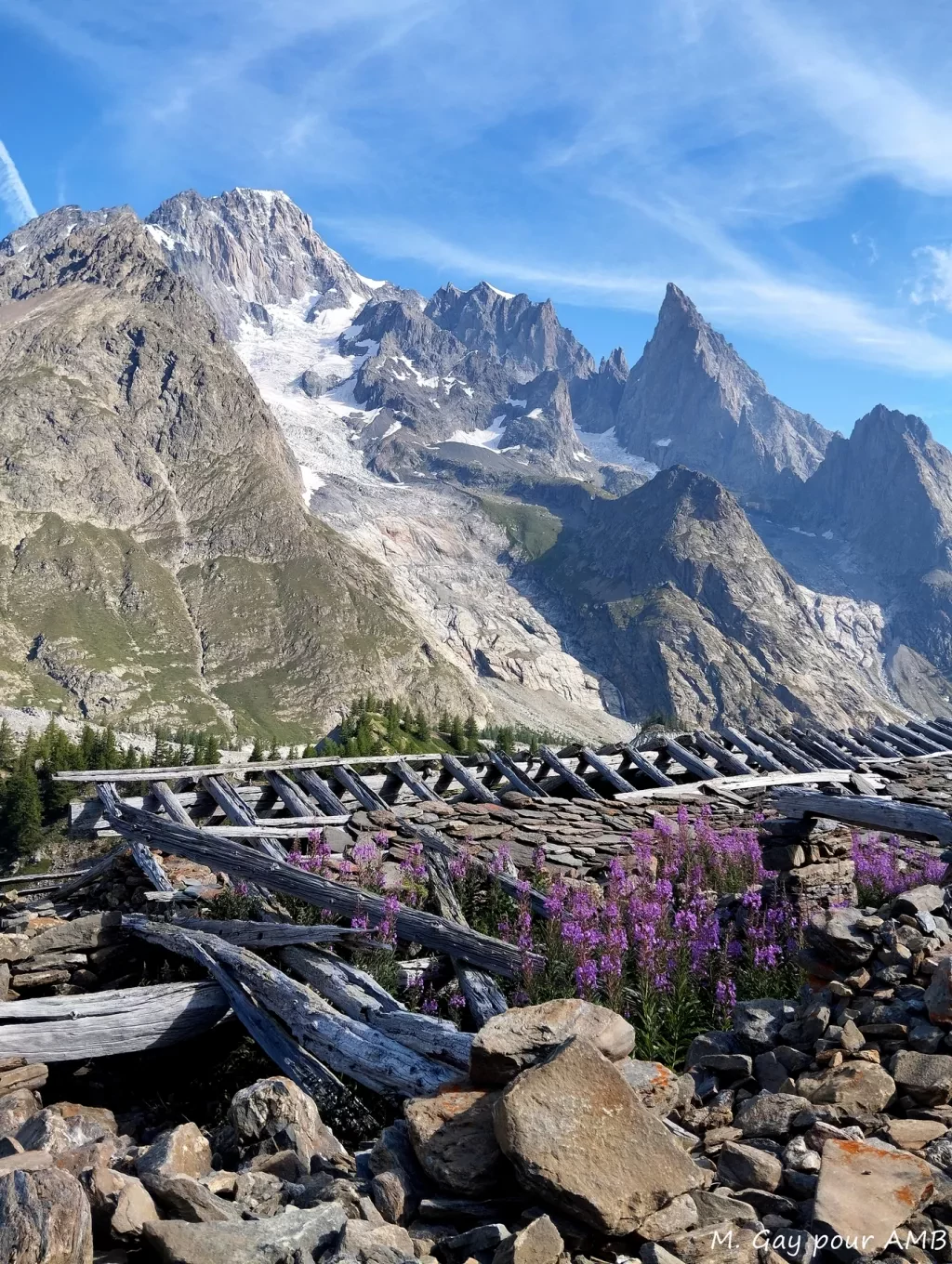 media-librarymggmkkpj3ar31G7Uy2A