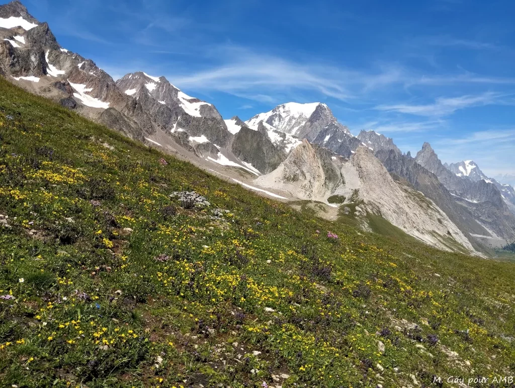 media-libraryiurshlg0jjko9tXCG9y