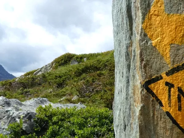 TOUR DU MONT ROSE en Liberté