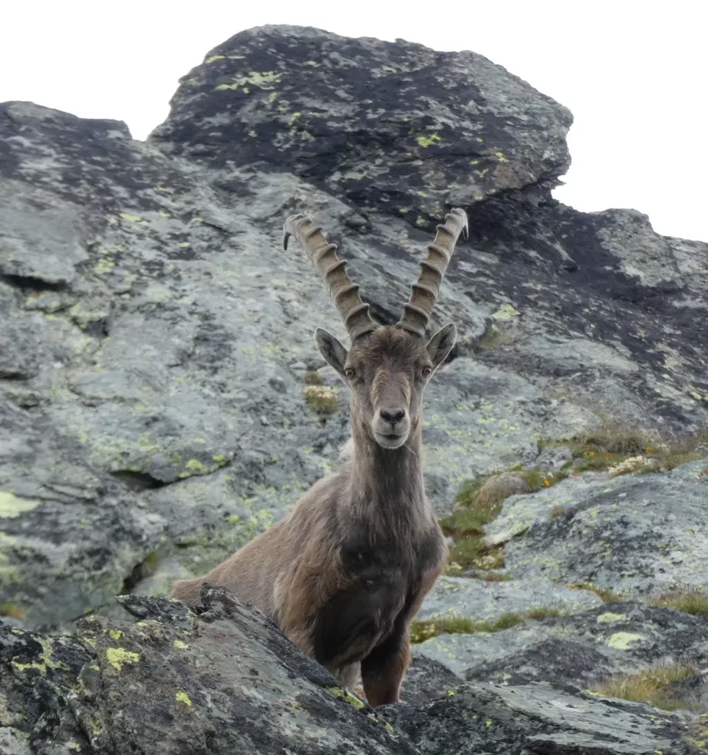 media-library59hn0vf6bs3vfMAPCDy