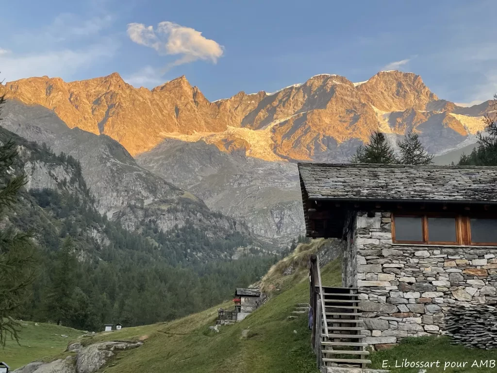 media-libraryebifl6dmnep41fV6LtA