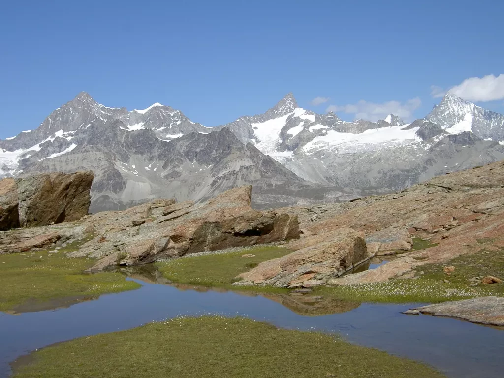 media-librarydll81f2nu8d09rzEDwA