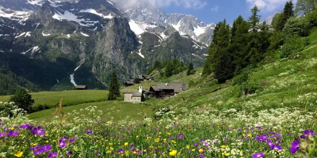 media-libraryk4mni5ddgiv3enq1yAB