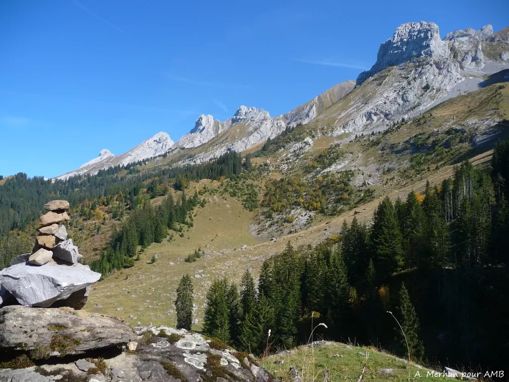 media-librarylcecv3sduggq7LMt1DB