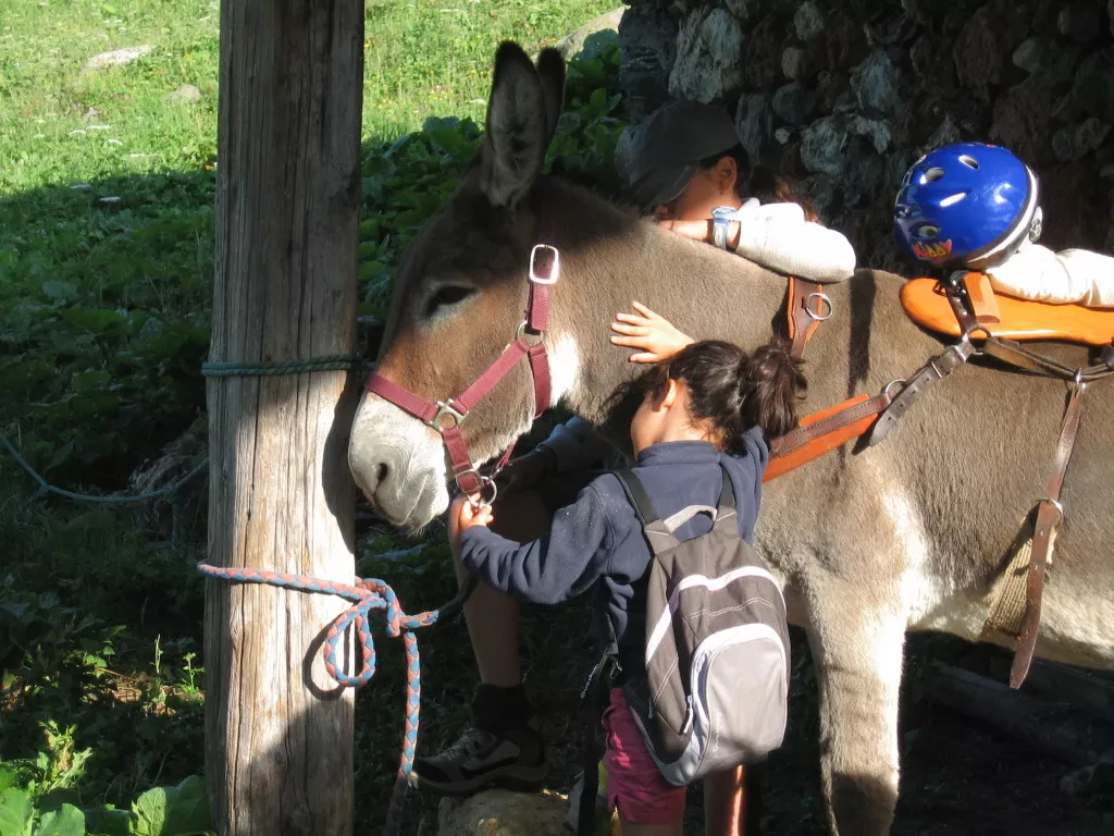 media-library7ujv2g32605bb61UF9y