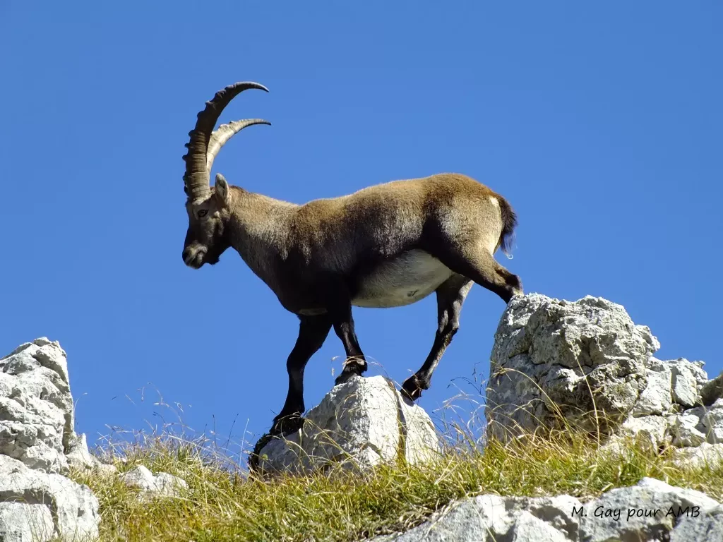 media-libraryb19b37797bg2cYRZKDB