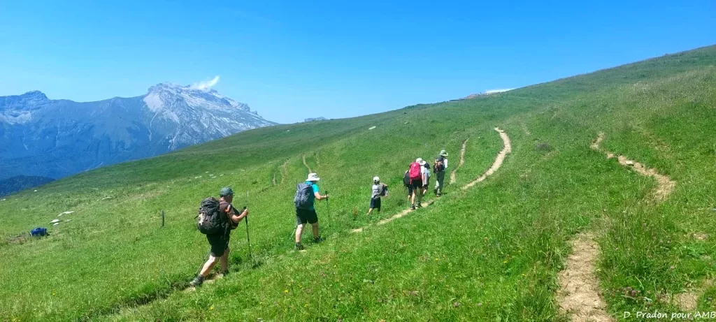 media-libraryk34uv1khf6ql0X3HWQB