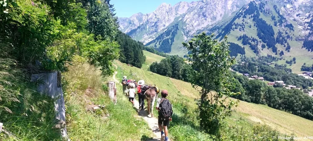 media-libraryd301jsl971r54IHXntB