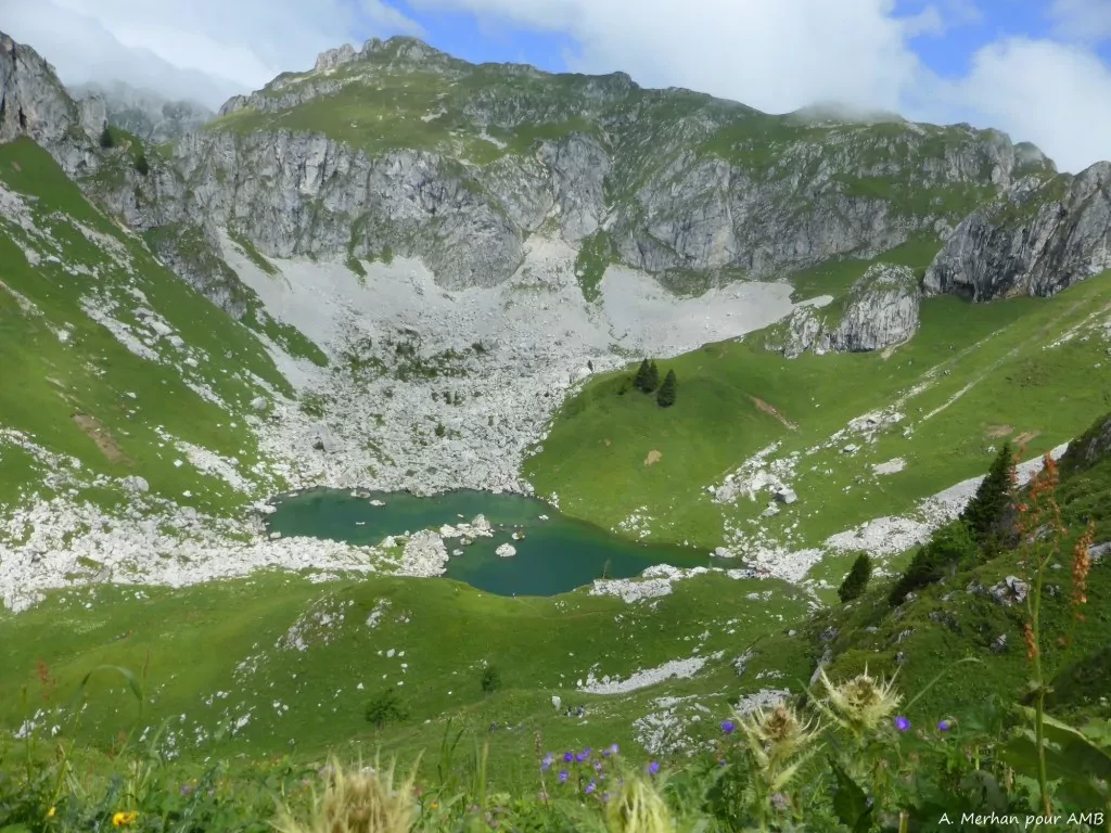 media-libraryf5cbgnaajo1raLhRNFy