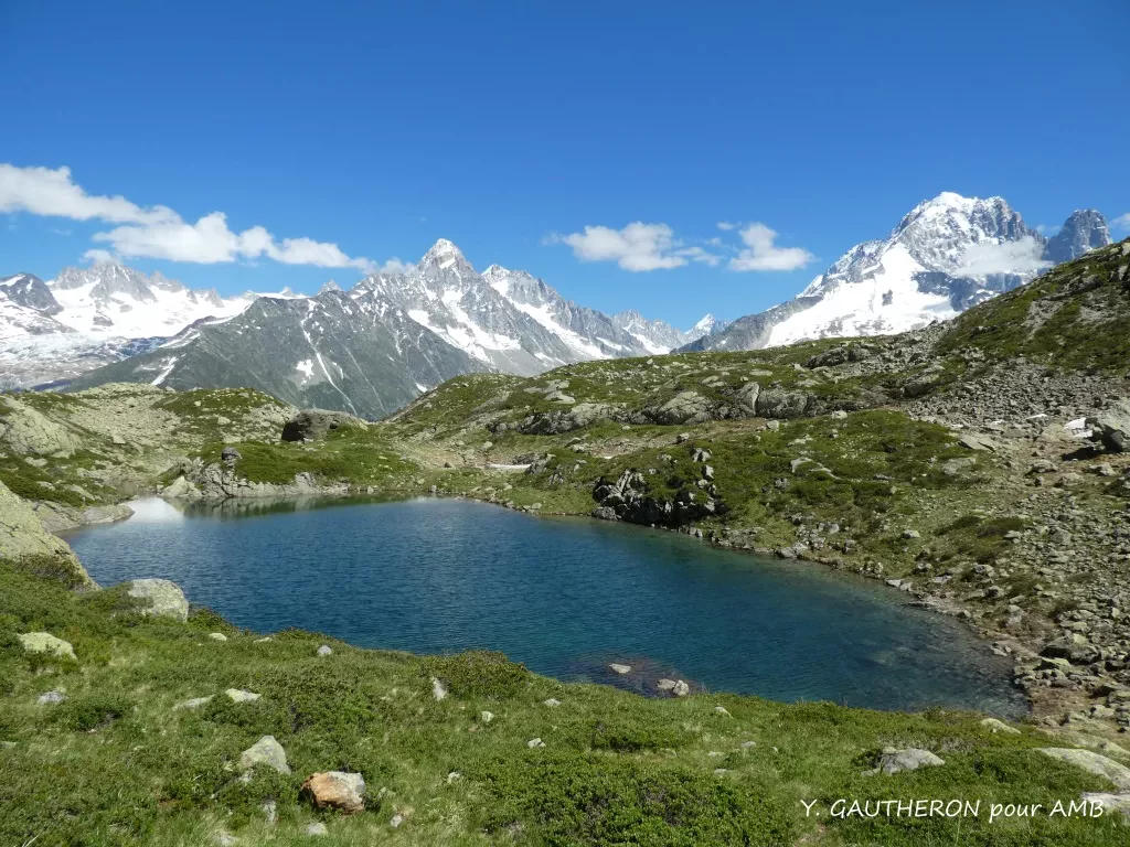 media-libraryg54arqlcdkgp4h4QN3y