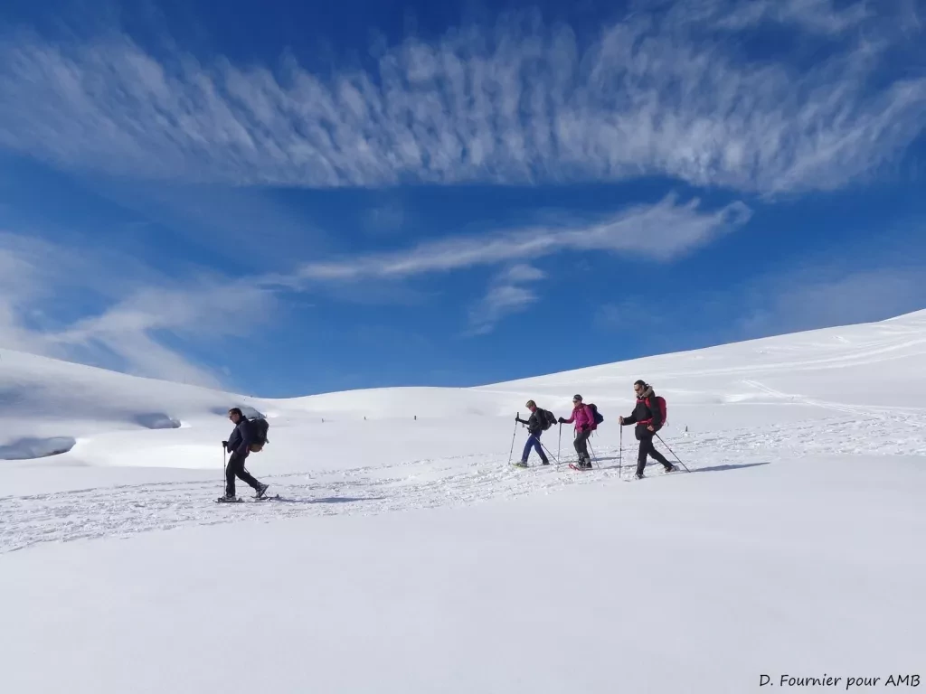 media-libraryqauk7k47jjkf1SXDCWC