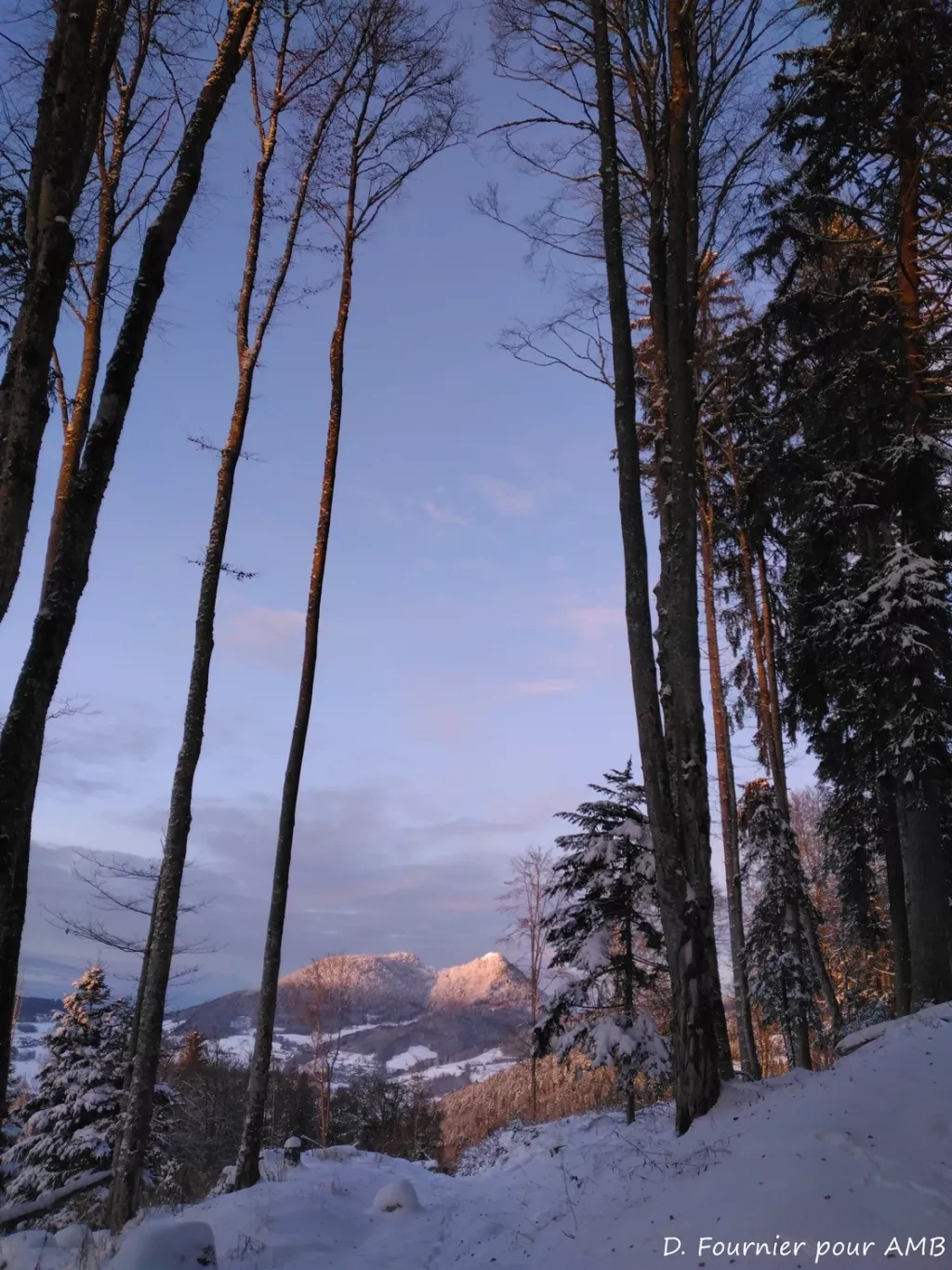 media-libraryas5e66g1r7poa06bzuB