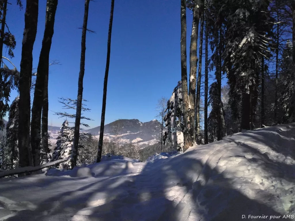 media-library4ven0vjchp5j3JK0x0B