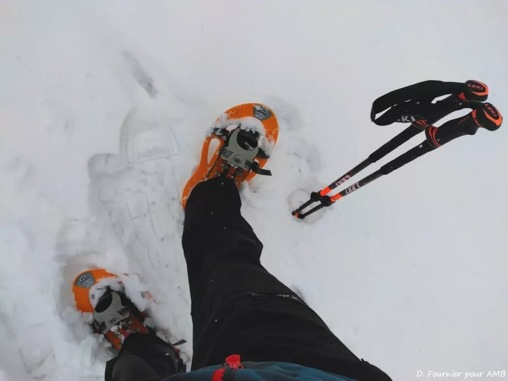 media-libraryan1mfor1djpu0CFbZwA