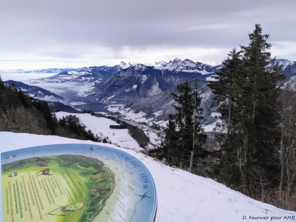 media-library2s9gp4fs5hci8RbLXTz