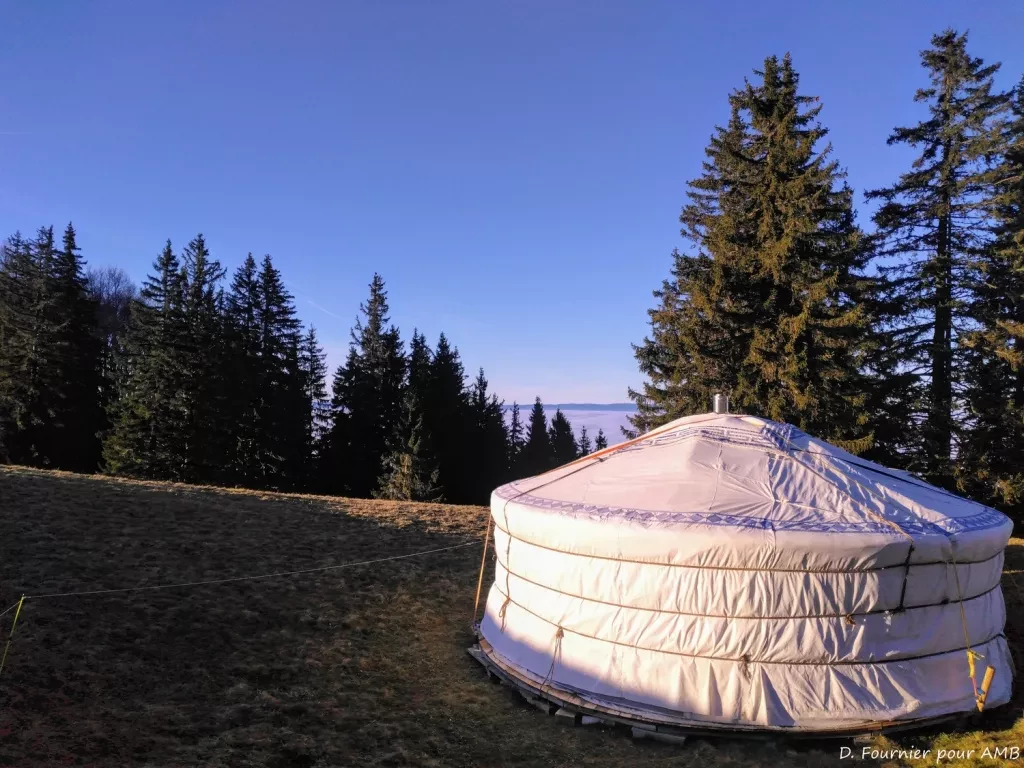 media-library1gvdbbbckran73Ygt0z