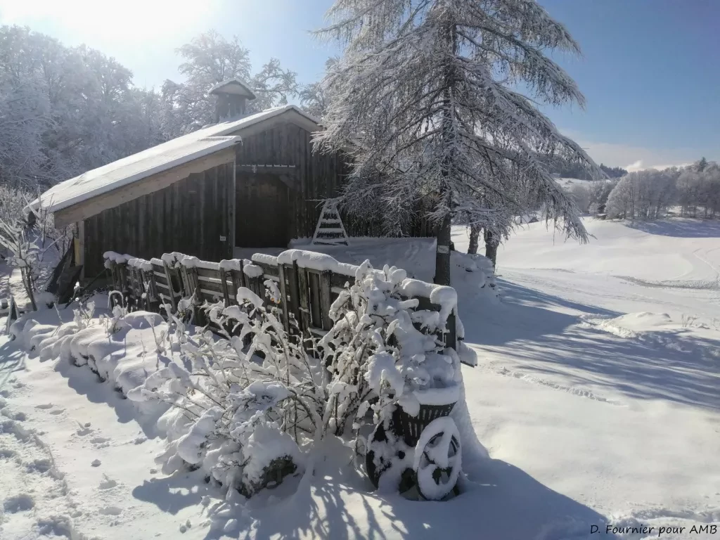 media-library1ego9ba55cg34sGtOEz