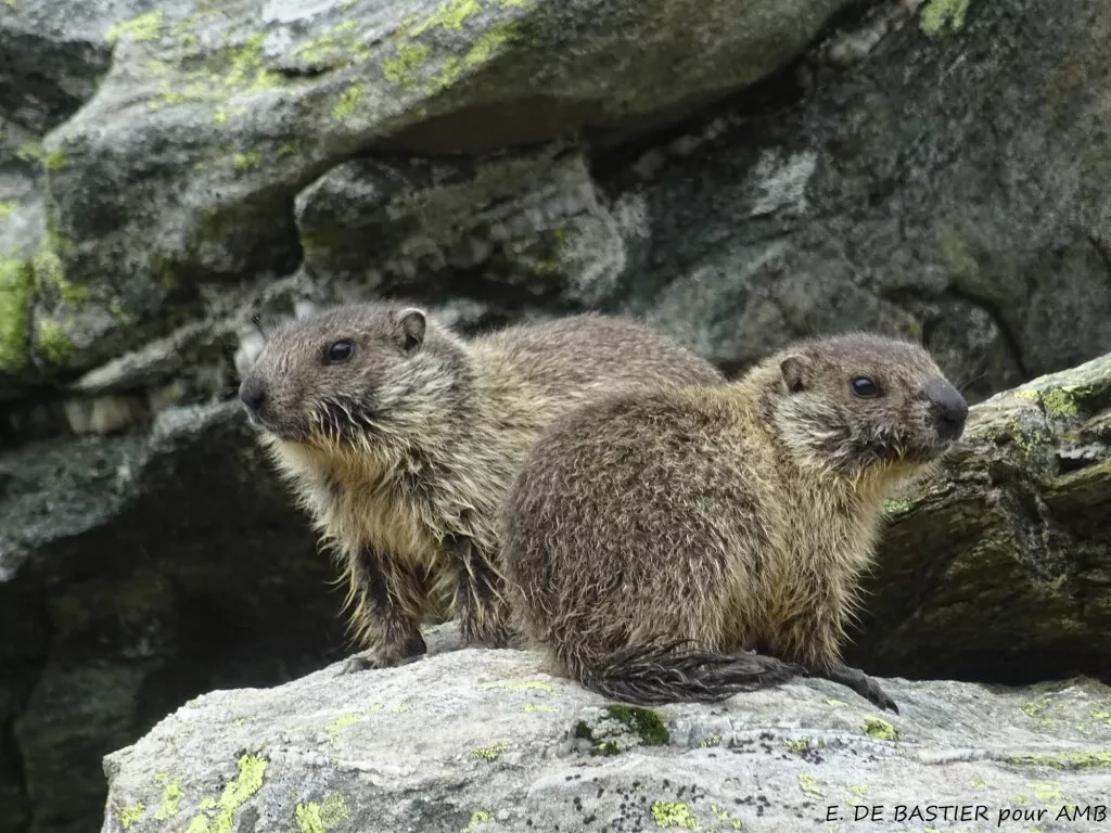 media-librarysg5ijeomo4f9fiAA86S