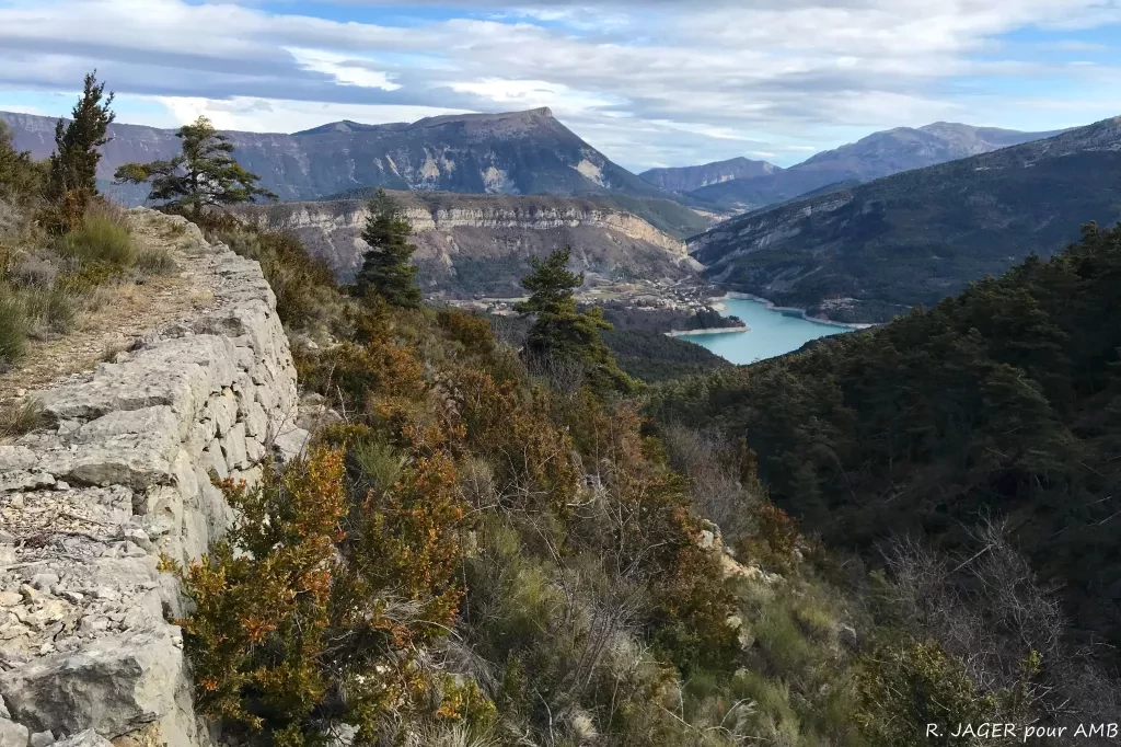 media-library18g974ha0kh1ewoSRQS