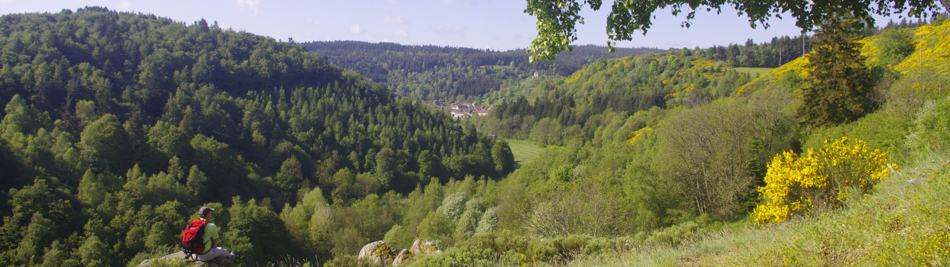SUR LE CHEMIN DE STEVENSON en Liberté - 2ème partie