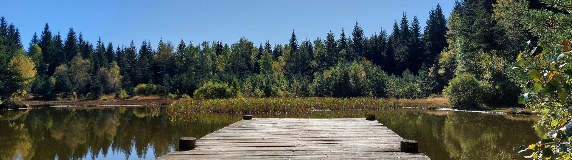 SUR LE CHEMIN DE STEVENSON en Liberté - Intégral