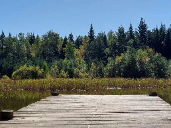 SUR LE CHEMIN DE STEVENSON en Liberté - Intégral