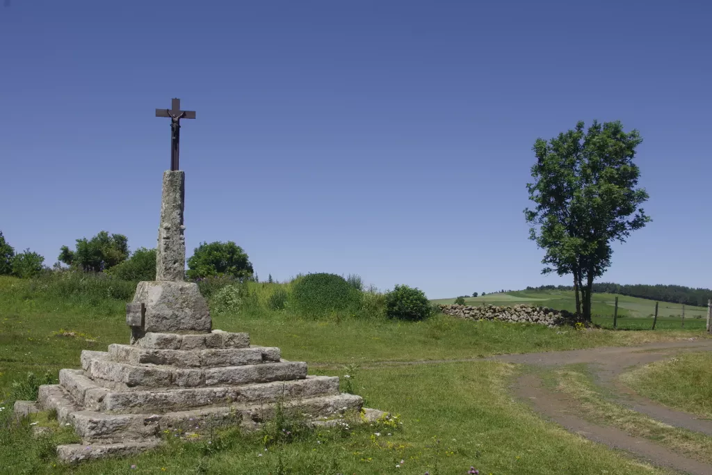 media-library4vmaadl146lm1Oc2AxU